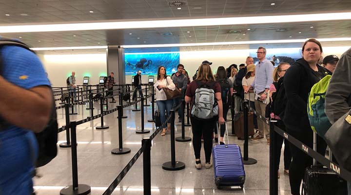 Cabo Airport Customs